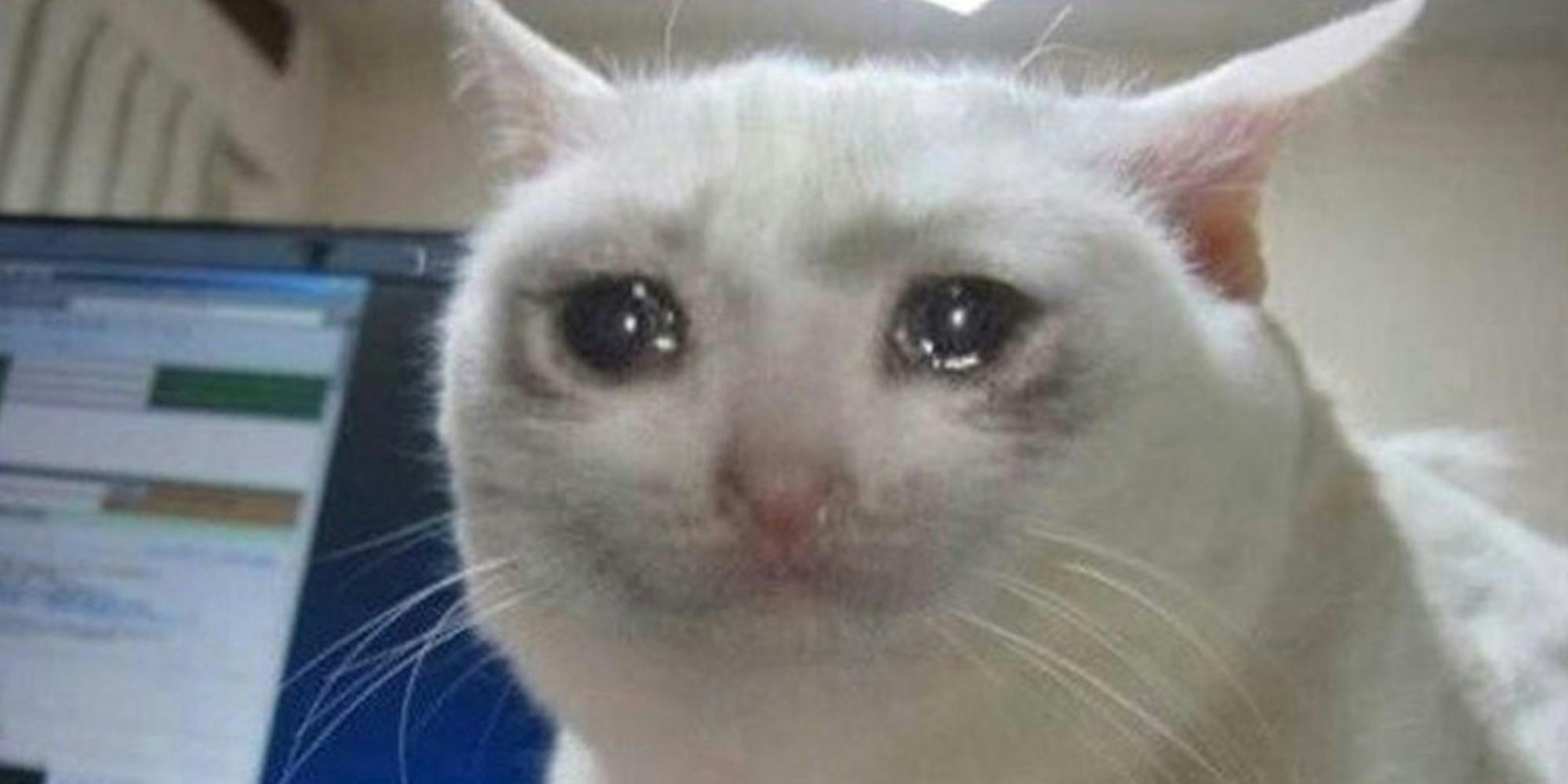 TestTest TestTest TestTest TestTest TestTest TestTest TestTest TestTest TestTest TestTest TestTest TesTestTest 