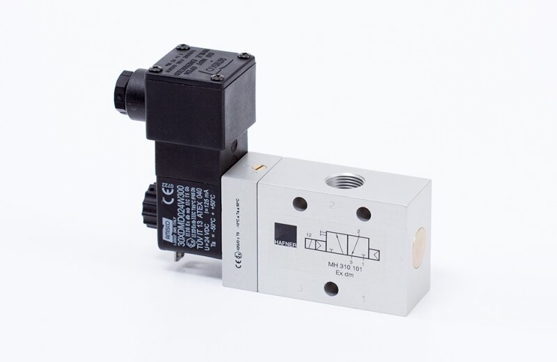 MH 310 101 EX DM